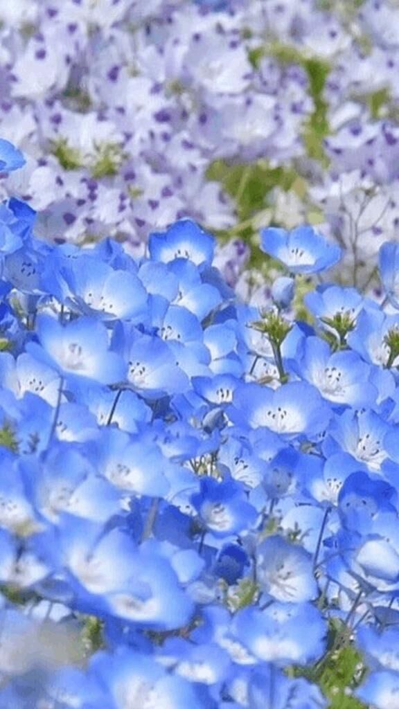 ☆おやすみなさい☆