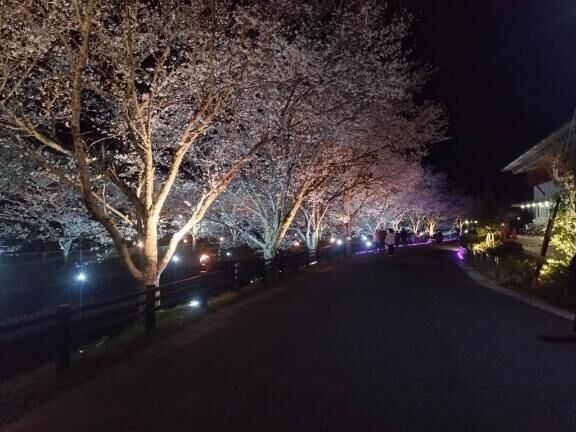 夜の部は、おやすみ