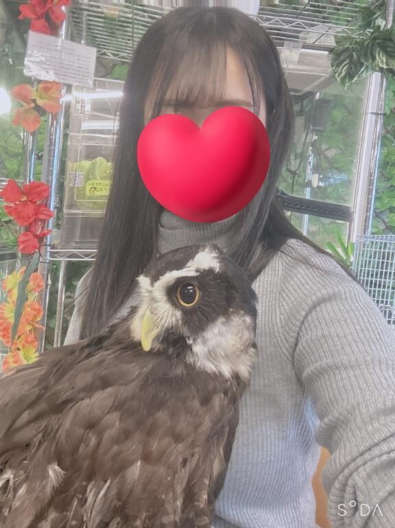 &#9825;いやし