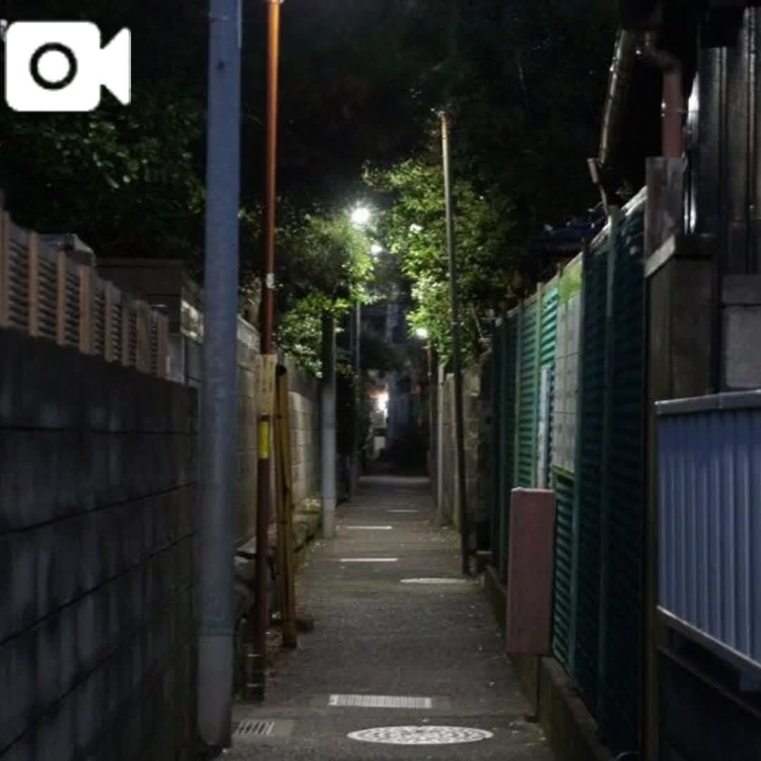復活するよ！