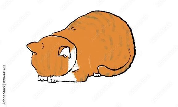 本日
