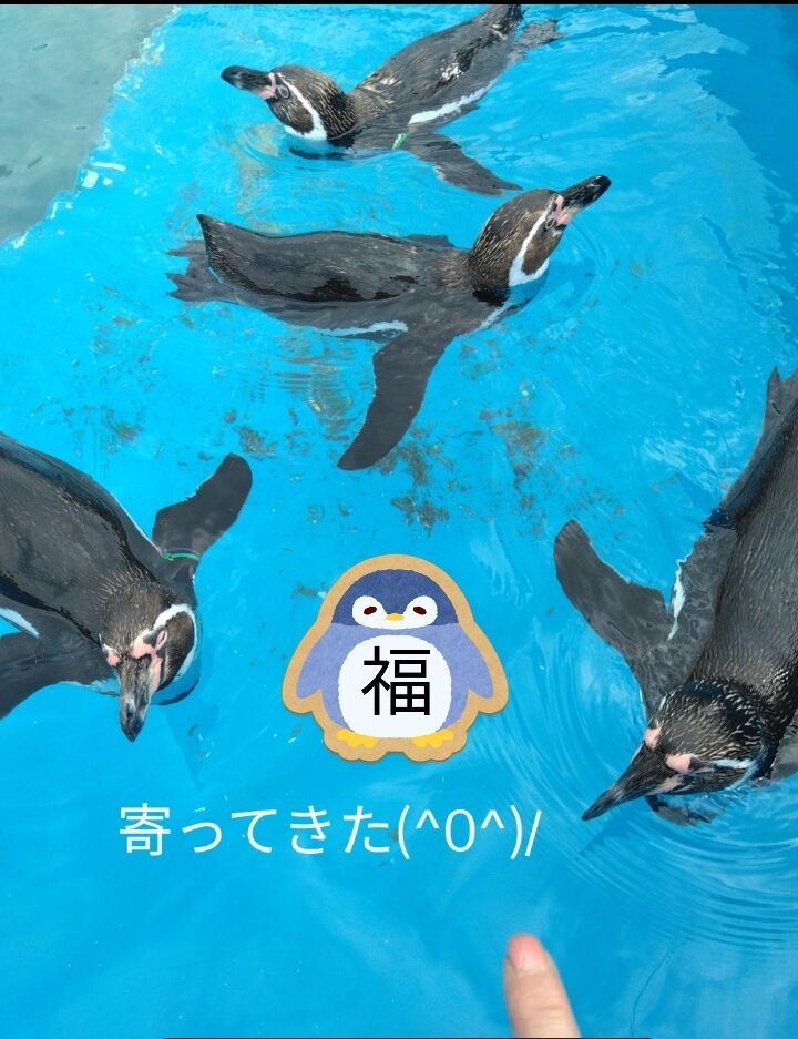 寛ぎ中＼(^o^)／