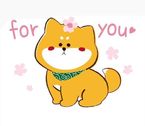 ご縁がありますように…✨