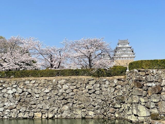 お疲れ様です♪