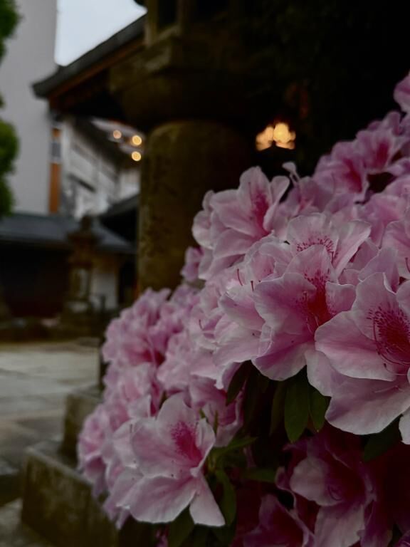 お花と&#9825;