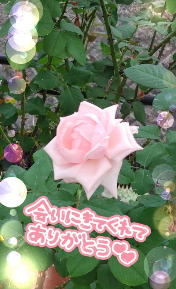 お礼&#9825;