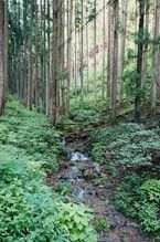 山越え谷越え