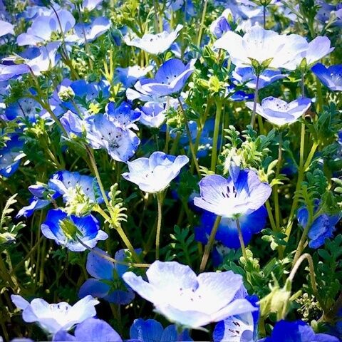 ありがとうございました♡