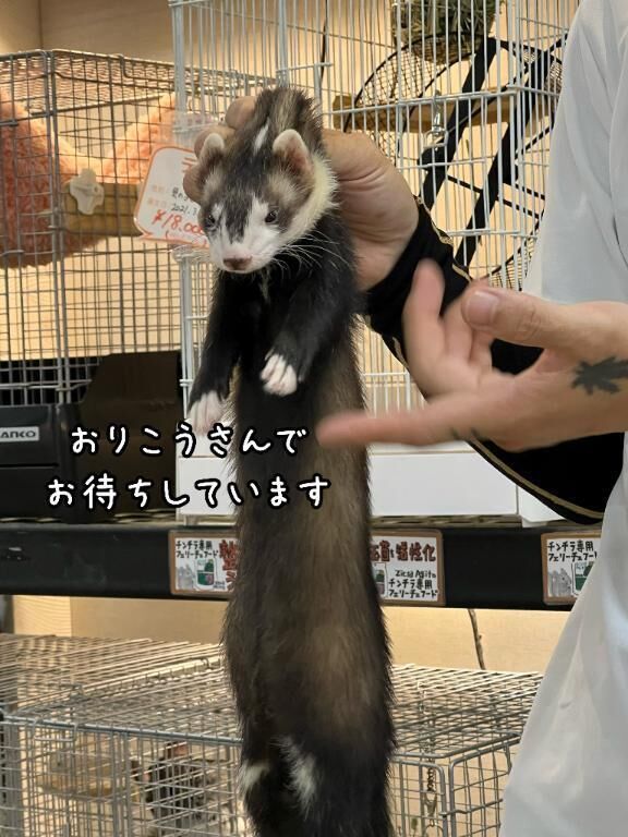 電○が友達