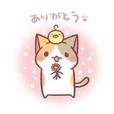&#127808;ありがとう&#127808;