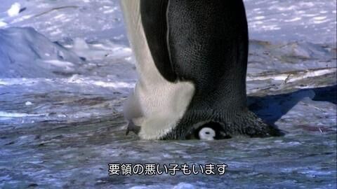 [お題]from:ブランドの鞄さん