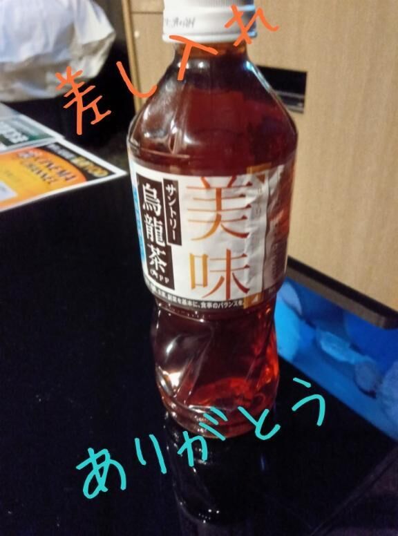 アルティアダイナソー116の殿方様