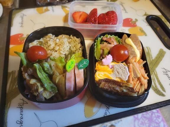 &#127804;お弁当&#127804;