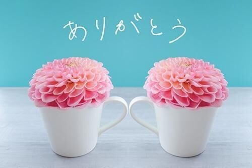 弥富のG様