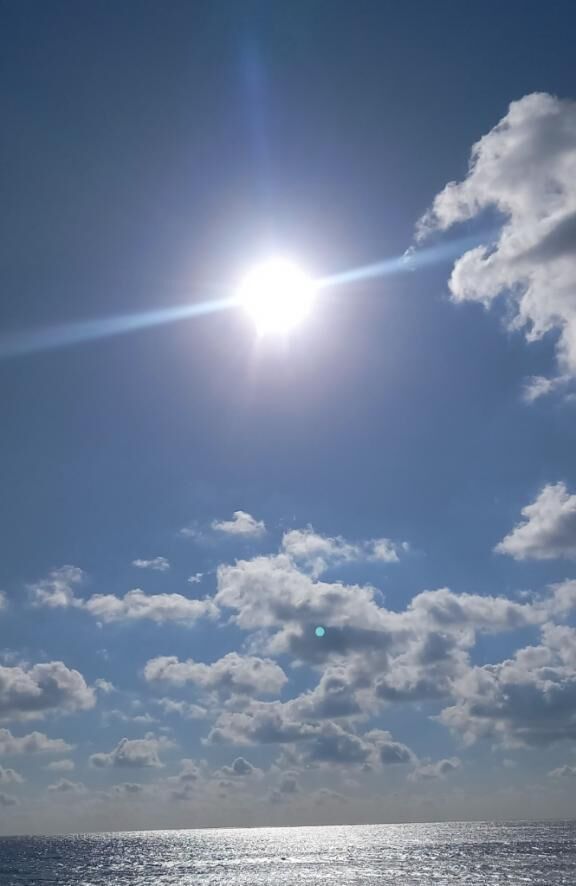 海