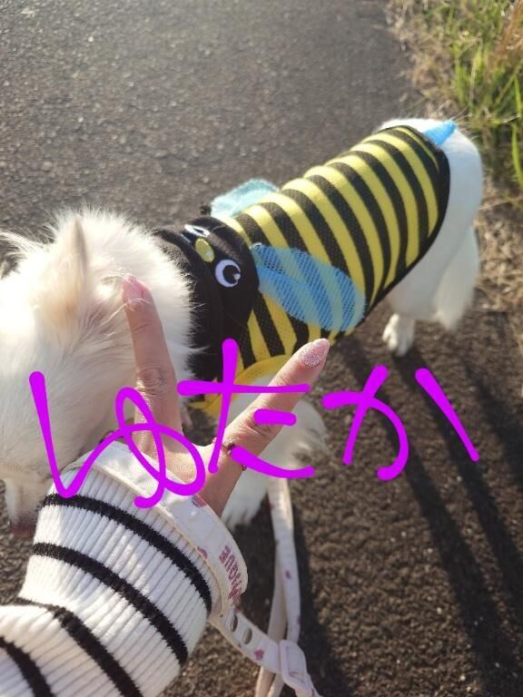 今日のありがとう☆