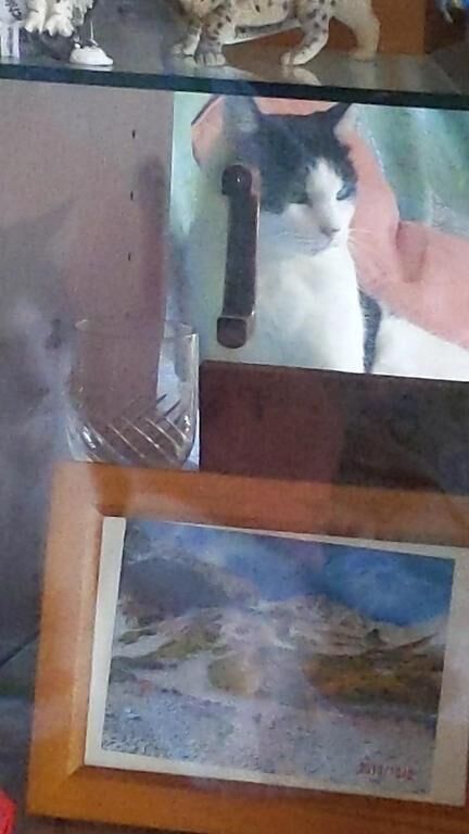 目が眩む