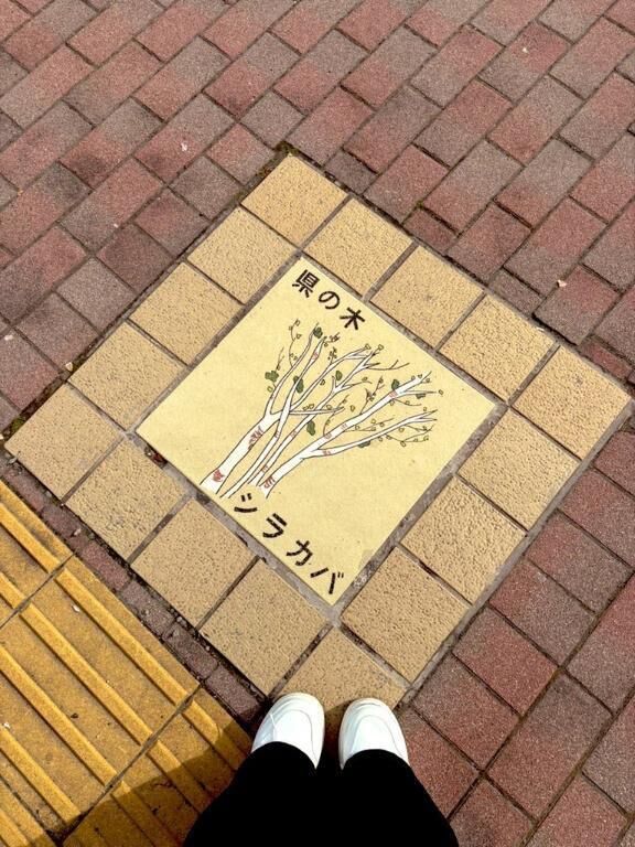 旅の思い出