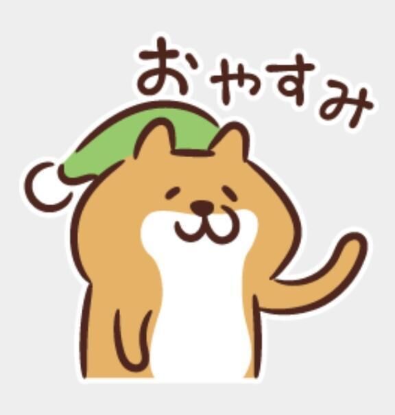 おやすみなさい&#129419;