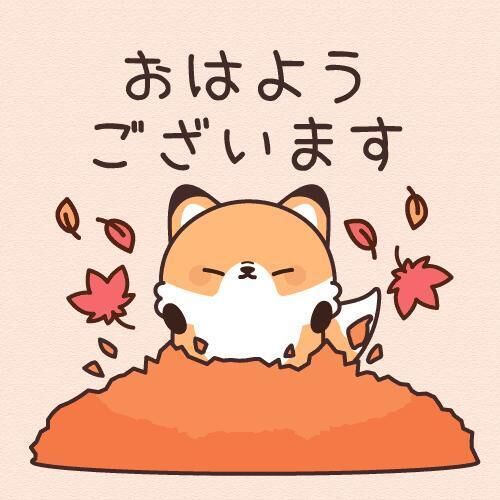 おはようございます&#127774;
