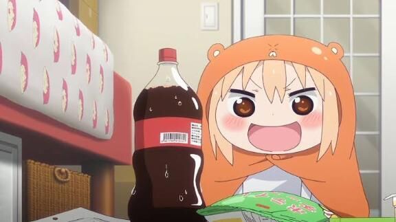 今日はお休み