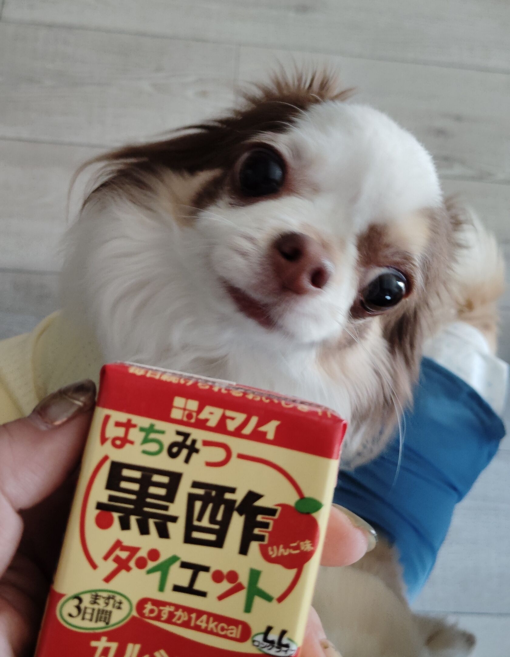 マイブーム