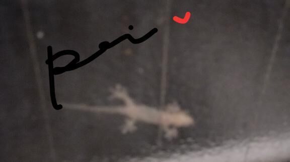 今年も&#9825;