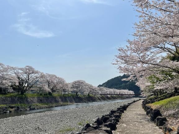 お出かけ日記 (岡部編)