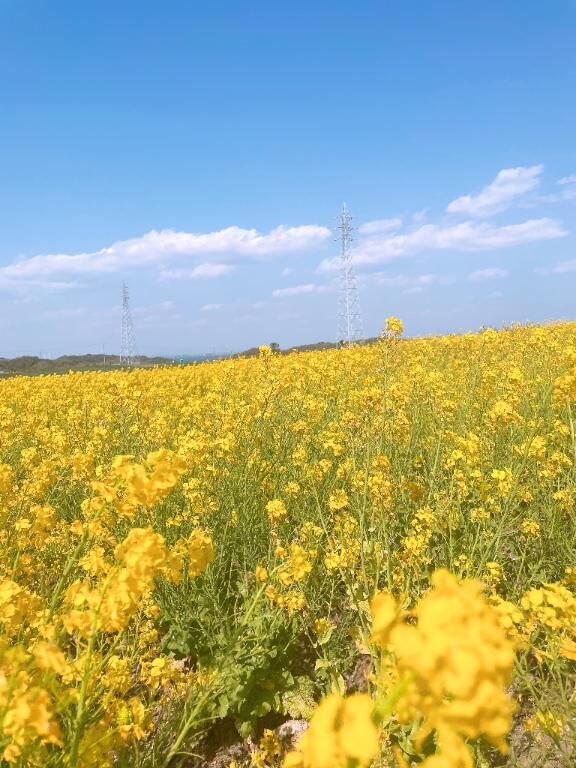 26日初めましてKさんへ