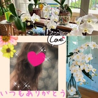 こんにちは♪