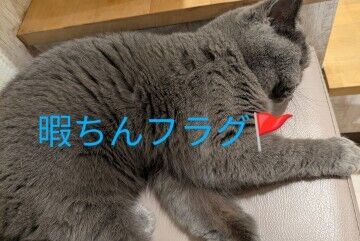 天気がいいなぁ&#x301C;