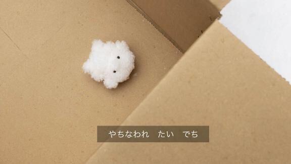 ごめんなさい( ; ; )