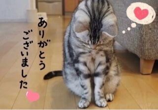 24日(木)のありがとう&#9825;&#9825;