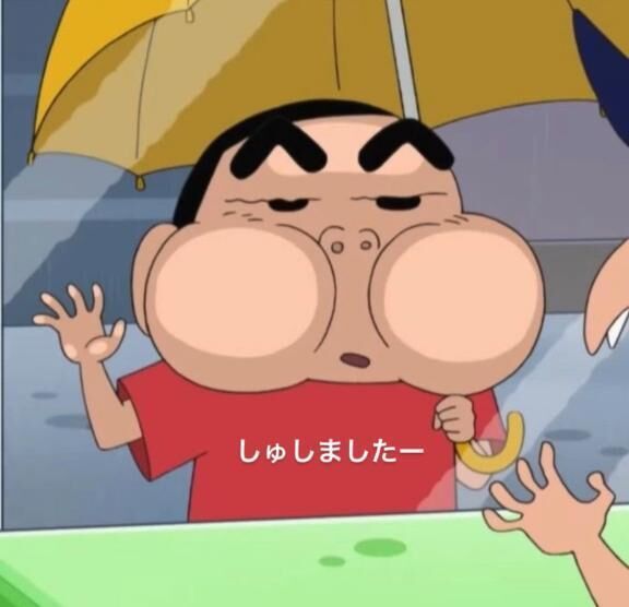 しゅですヨ