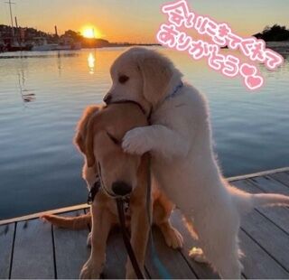 26日(土)のありがとう(&#9825;&#9825;&#9825;´∀`∩)