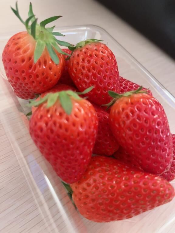 お礼