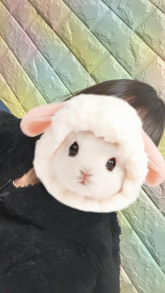 迷う&#9825;
