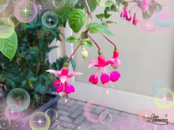 おはよう