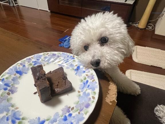 チョコレートケーキ&#9825;