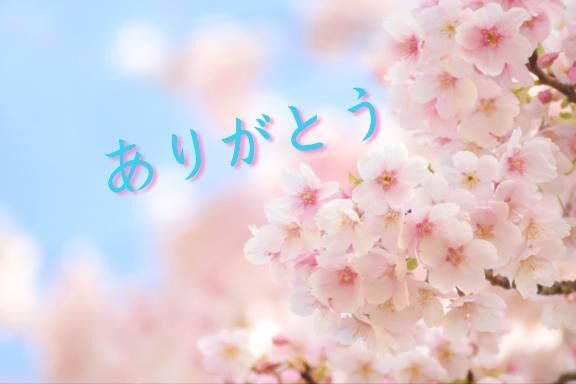【お礼写メ日記】&#8203;&#8203;&#8203;&#8203;&#8203;&#8203;&#8203;くぼちゃん56481様&#128157;お便り&#128140;ありがとう&#128524;&#128591;