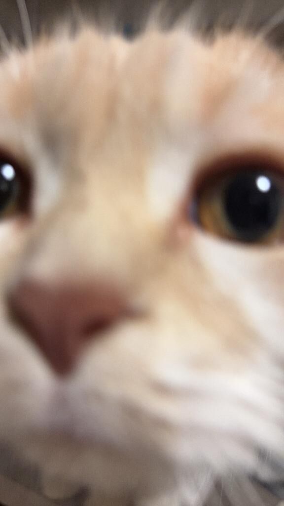 AM&#9825;