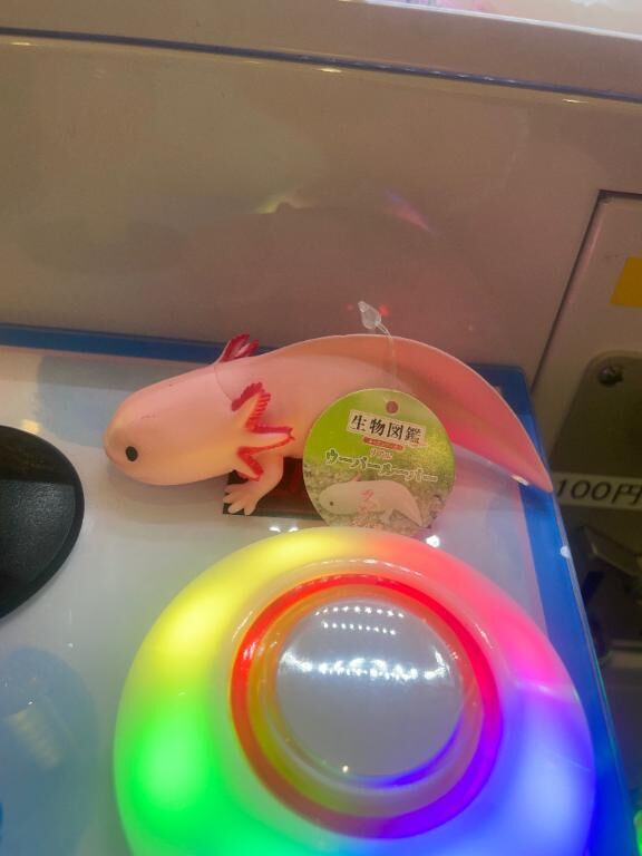 ゲーセン