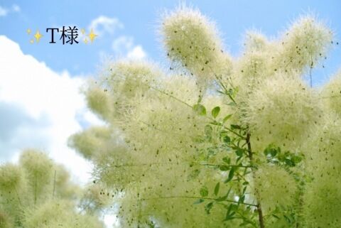 お礼状