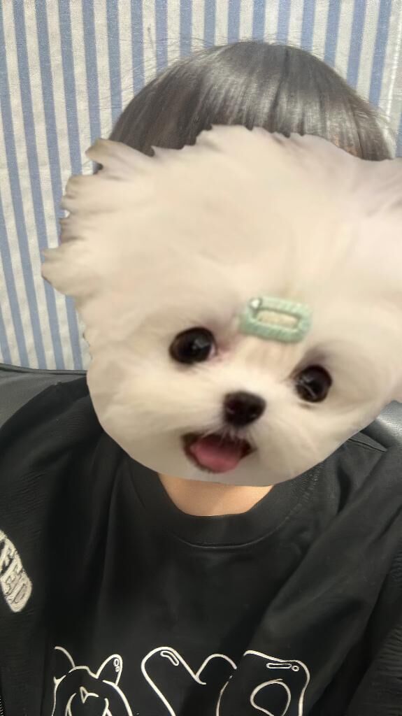 まったり&#x301C;