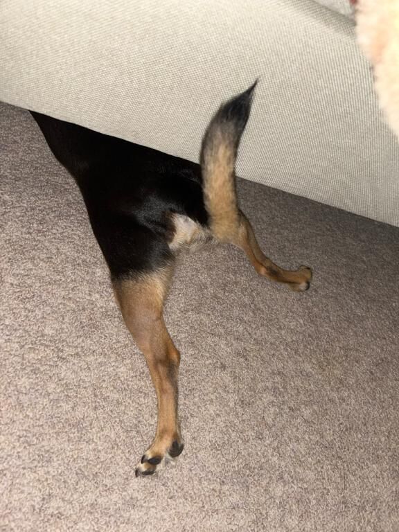 癒し&#129782;