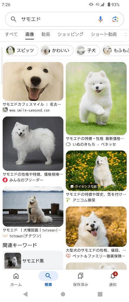 モフモフしたい