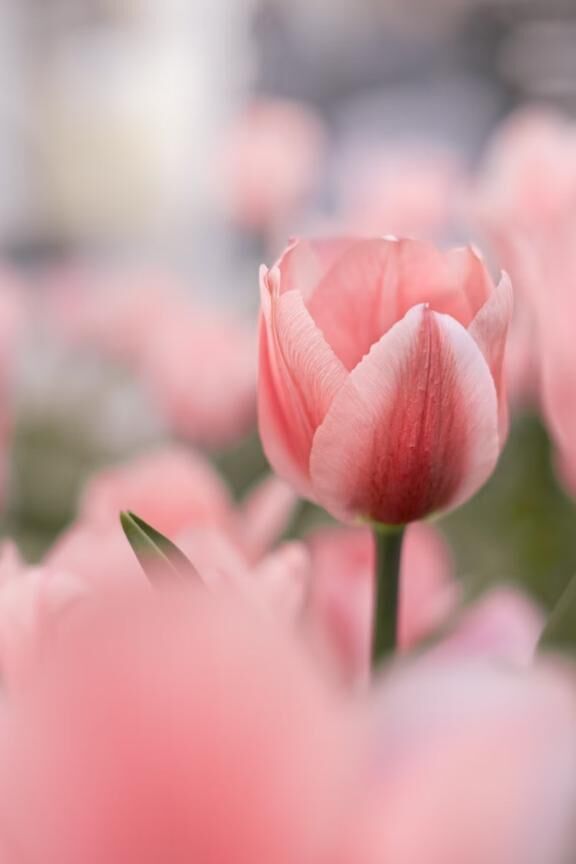 4/27お礼&#128140;朝イチOさん
