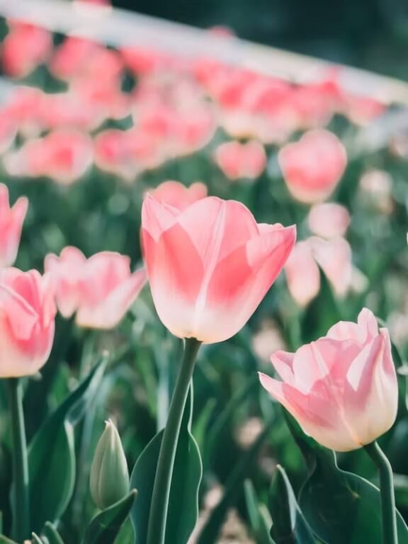 4/27お礼&#128140;虐められたいSさんへ