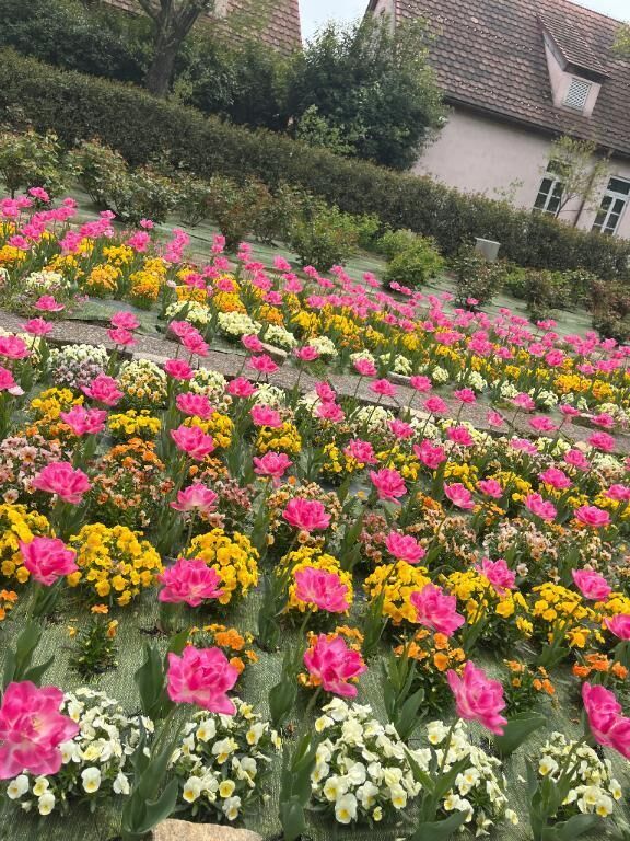 近いうちに