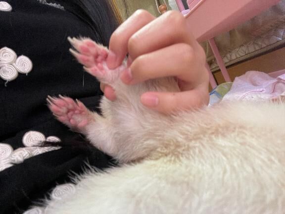 そういえば（´-`）.。oO（